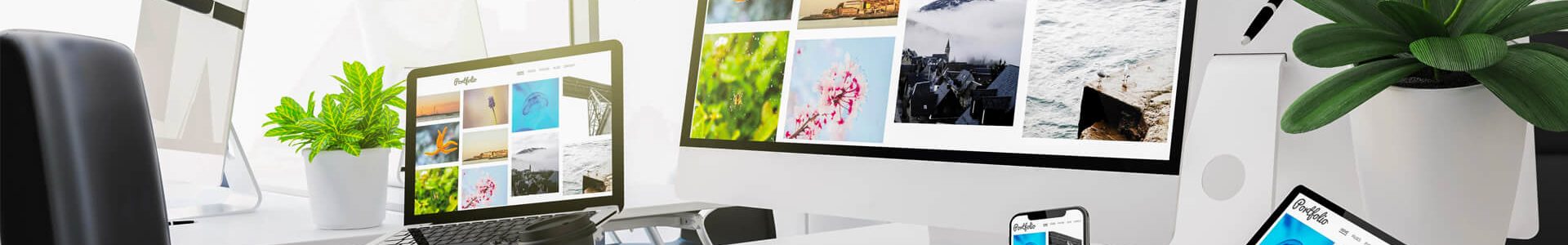 Calypso Development - Professional Custom Web Design, Web Development, Organic Search Engine Optimization, Paid Digital Marketing and Brand Building Company