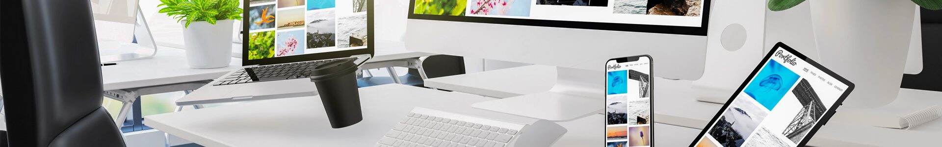 Calypso Development - Professional Custom Web Design, Web Development, Organic Search Engine Optimization, Paid Digital Marketing and Brand Building Company